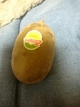 創工社 ゴールデンキウイ