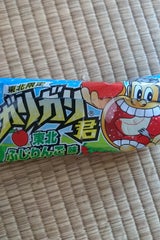 赤城 ガリガリ君 青森りんご 110ml