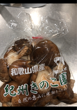 石橋 なましいたけ 1P