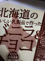 さくら 北海道おいしいバニラ&チョコアイス 2L