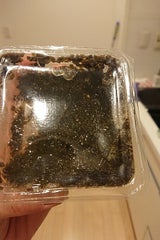 ヤマヨ つるあらめ昆布漬け 2連パック