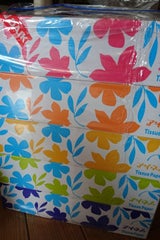 Nアイネスティッシュ 150W 5P