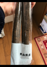 ショウナン どろごぼう ミネラルS 2P