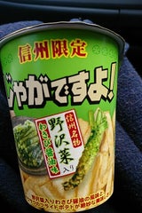 タカチホ じゃがですよ野沢菜わさび 42g