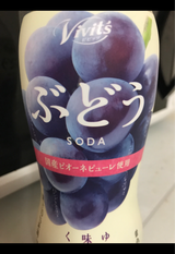 伊藤園 ビビッツぶどうSODA ペット 450ml