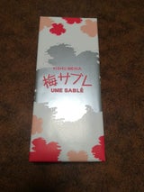 松竹堂 梅サブレ 8P