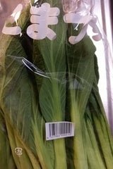 プレマ こまつな 群馬産 200g