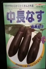 カネコ種苗 中長ナス
