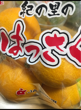 東邦フイルム 紀の里のはっさく 1P