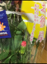 ジェイアンドエフ 切花