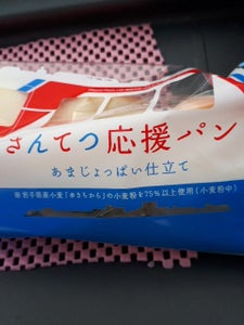 白石 カスタードチーズ風味チョコノエル