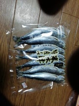 小川商店 いわし丸干し