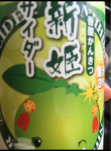 熊野市ふるさと 新姫サイダー 250mlの商品写真