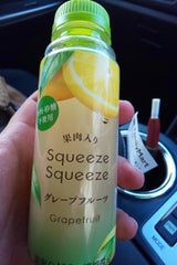 トーヨー スクイーズGF 230ml