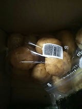 大松青果 みかん M 8個