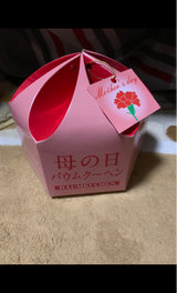 神戸スイーツポート 母の日バウム BH-10