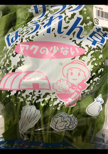 伊藤　サラダほうれんそうの商品写真