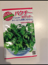 宇都宮 パクチー 1P