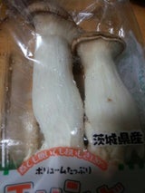 ハラキン エリンギ