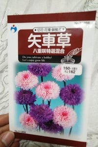 ウタネ　草花１５０円単価コードの商品写真