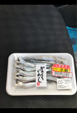 やまろ渡邉 かたくちいわし 10尾