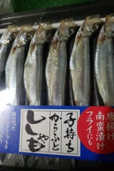 キャビック ノルウェー産子持ししゃも5L 10尾