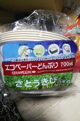 大和 新エコペーパーどんぶり 700ml 5枚
