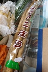 向江 新ごぼう 1本