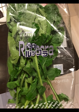 カズサベジ ルッコラ 50g