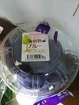 長野大同 プルーン 1P