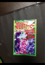 アタリヤ 切花用 スイトピー マンモスミックス