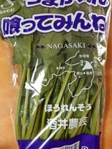 正守 ほうれんそう 1P