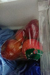 タンダイP りんご サンつがる