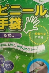 宇都宮 クインビニール手袋L 100P