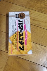 日清製菓 バターココナツ 100g