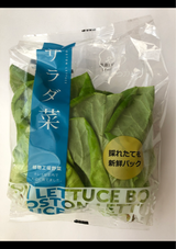 ファームシップ サラダ菜 60g