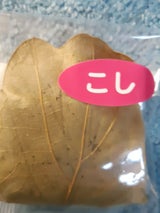 さわや 柏餅 こし