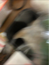 上進 松前漬 170g