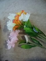 セブンフラワー アルストロメリア オレンジ