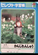 文運堂 かんじれんしゅう帳91字 K-50