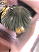 辻利兵衛 京の竹抹茶バウム 1個