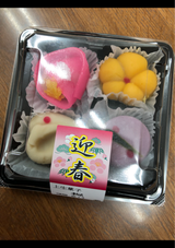 五条庵 上生菓子 祝