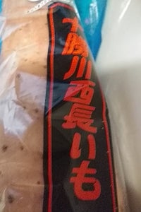 川西農協　長芋１本売り用の商品写真