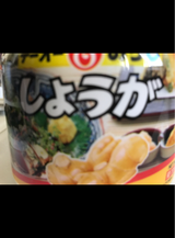 テーオー 生おろししょうが 500g