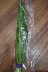 アサヒ 熊本県産にら 1P