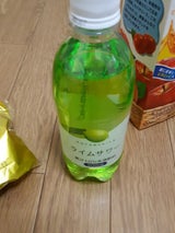 寿屋 ライムサワー 500ml