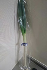 矢部 ねぎ 茨城産 1本