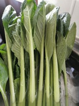 第一包装 小松菜兵庫県産 1P