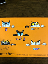 ビアンクール プレーンショコラ 9個