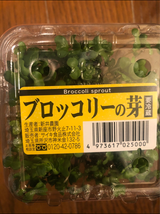 サイキ ブロッコリーの芽